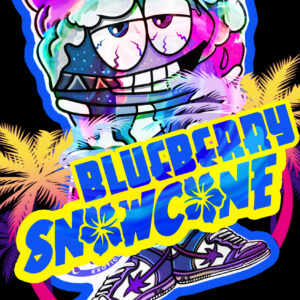 BLUEBERRY SNOWCONE