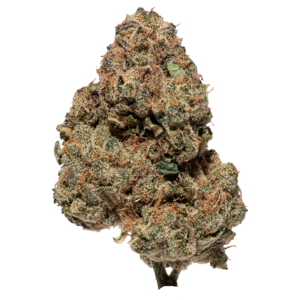 GMO ZKITTLES